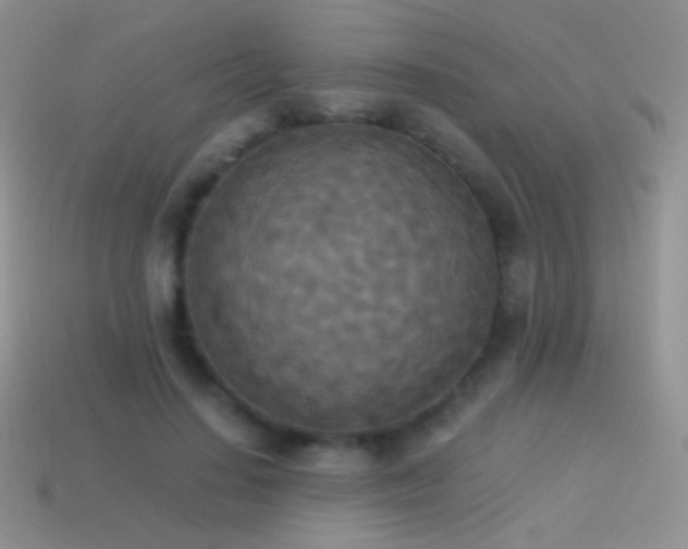 X0000114520644200910191155