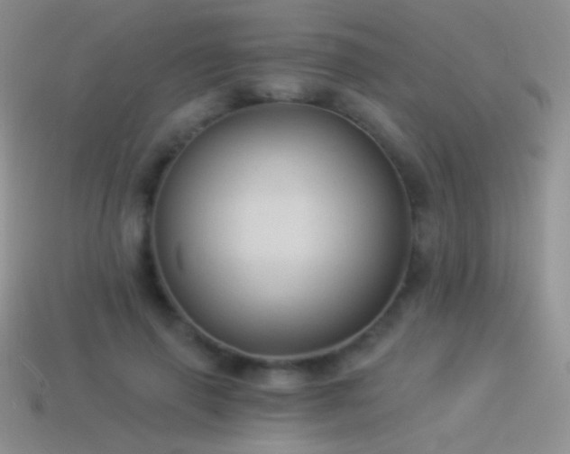 X0000114520645200910191155