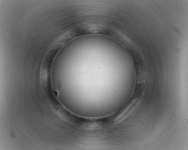 X0000114520646200910191155