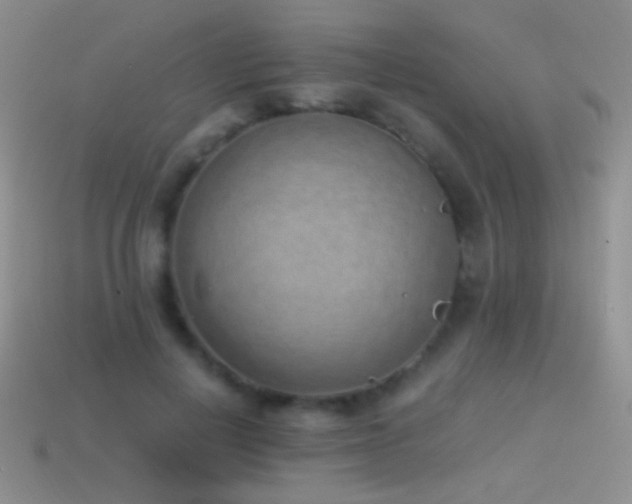 X0000114520648200910191155