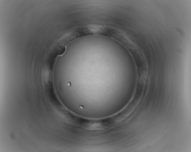 X0000114520651200910191155