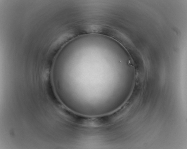 X0000114520652200910191155