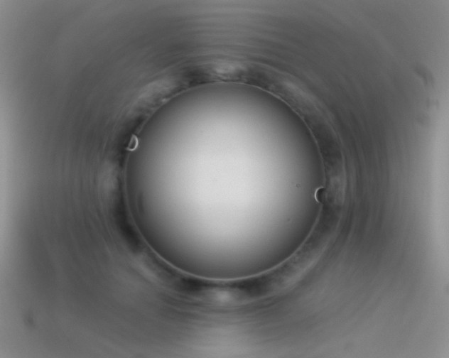 X0000114520654200910191156