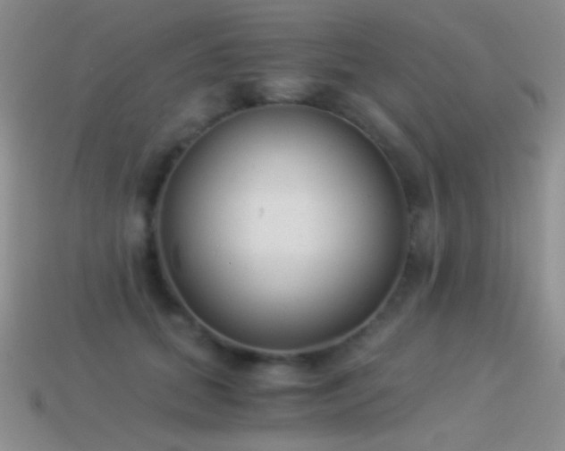 X0000114520655200910191156