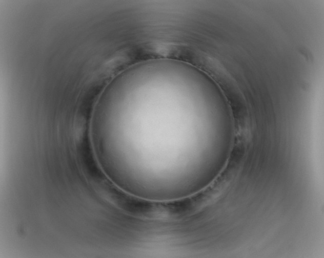 X0000114520656200910191156