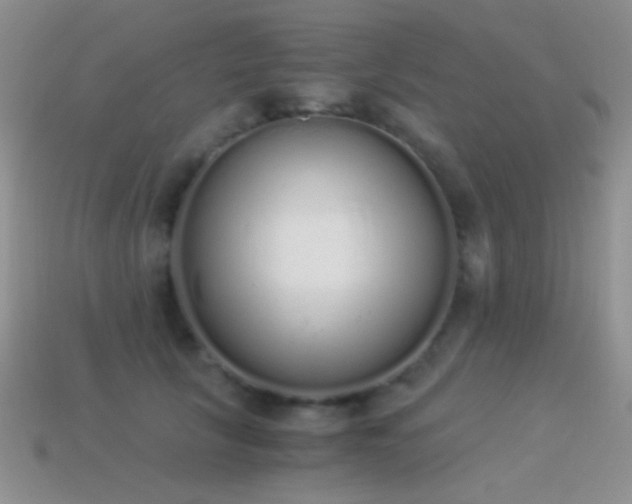 X0000114520657200910191156