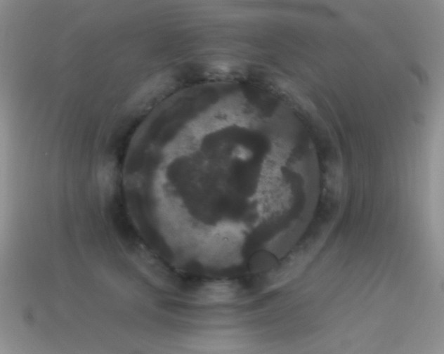 X0000114520659200910191156