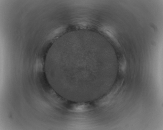 X0000114520661200910191156