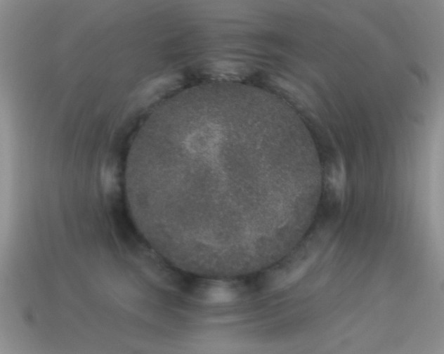 X0000114520663200910191156