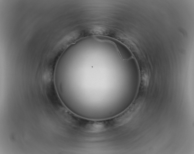 X0000114520665200910191156