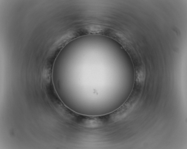 X0000114520666200910191156