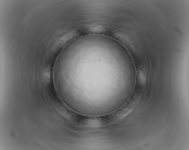 X0000114520668200910191156