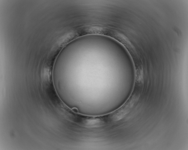 X0000114520669200910191156