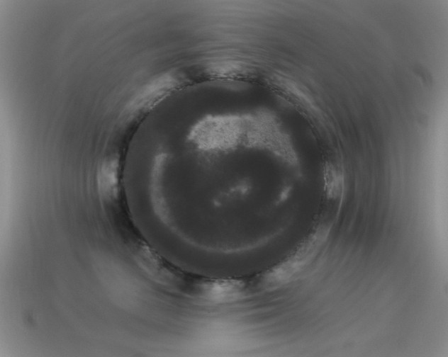 X0000114520670200910191156