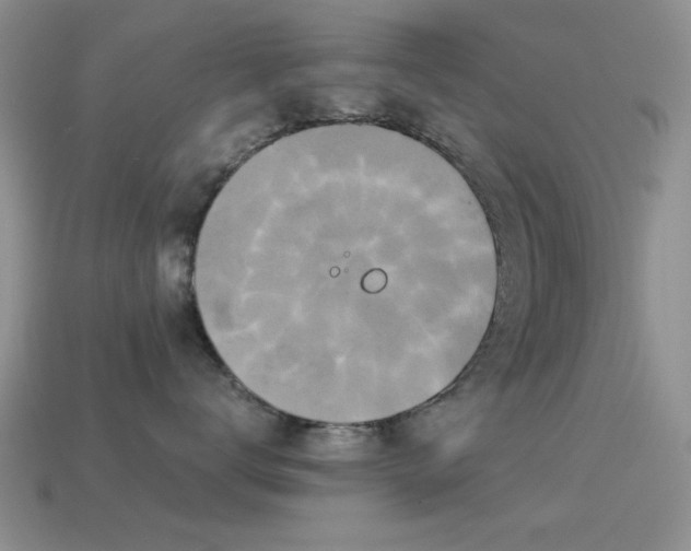 X0000114520672200910191156