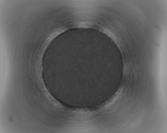 X0000114520673200910191155