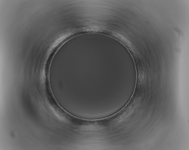 X0000114520674200910191155