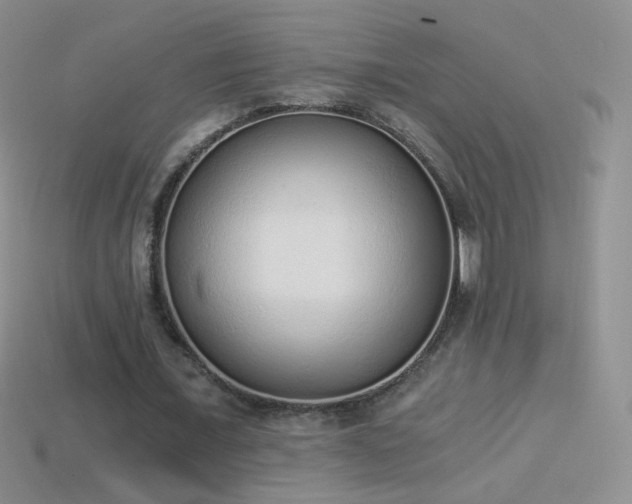 X0000114520675200910191155