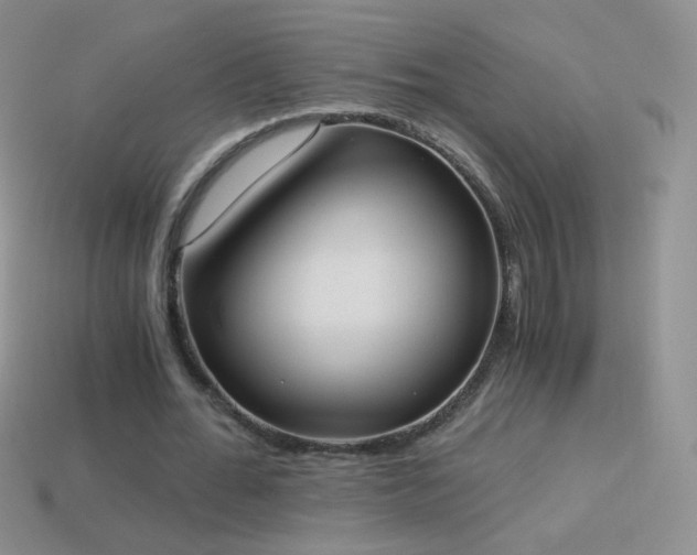 X0000114520676200910191155