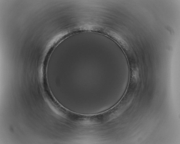 X0000114520678200910191155