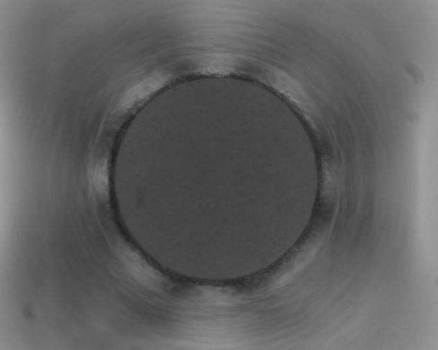 X0000114520681200910191155