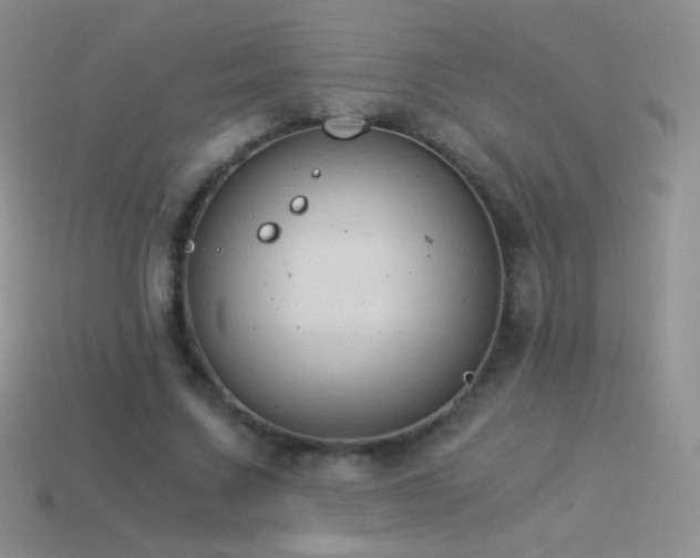 X0000114520683200910191155