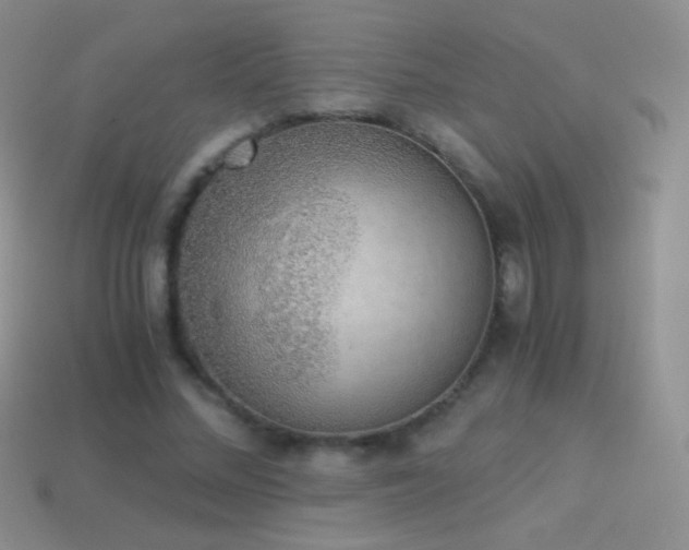 X0000114520684200910191155