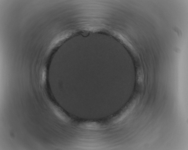 X0000114520685200910191155