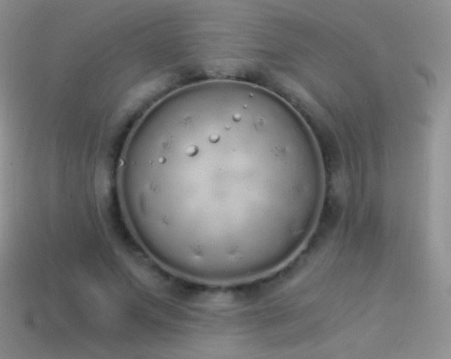 X0000114520687200910191155