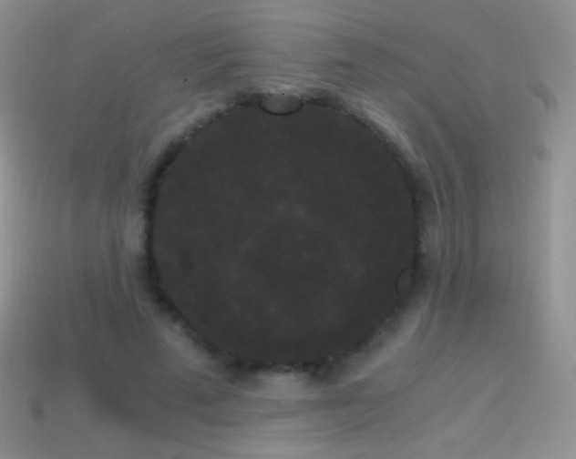 X0000114520689200910191155