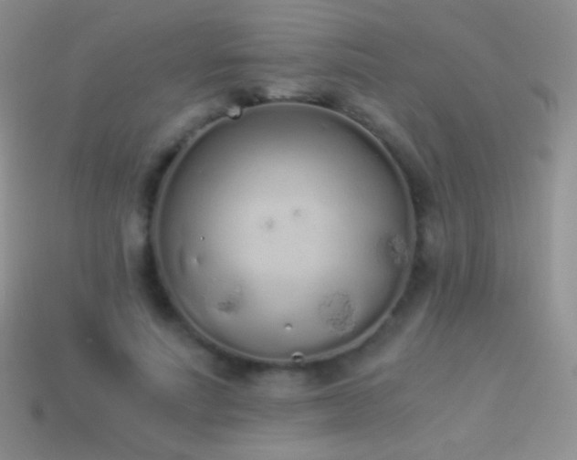 X0000114520691200910191155