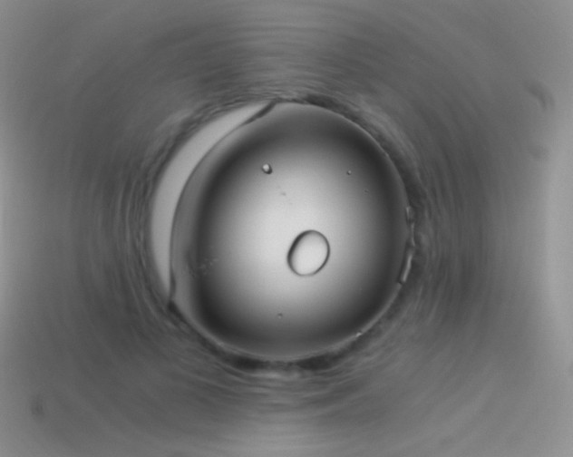 X0000114520693200910191155