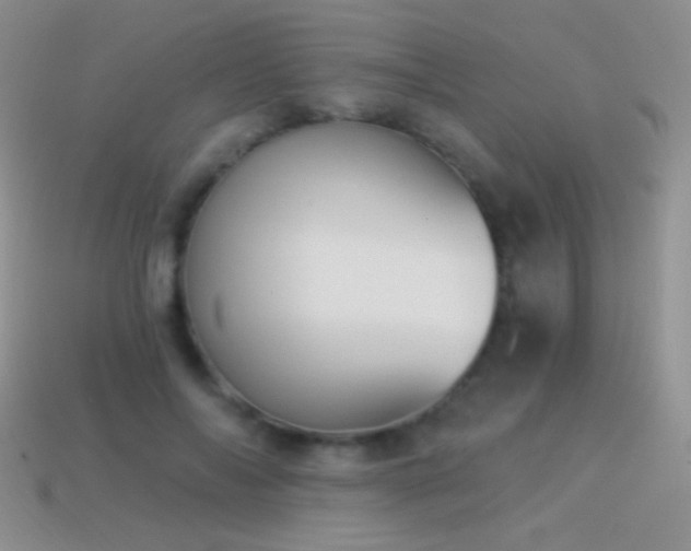 X0000114520694200910191155