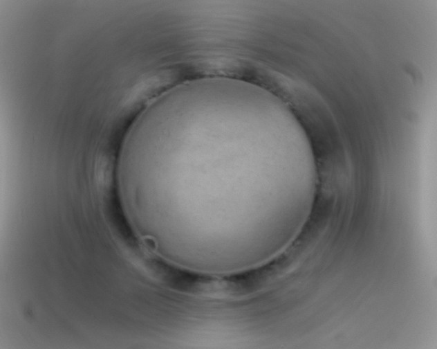 X0000114520695200910191155