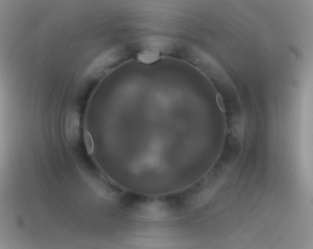 X0000114520696200910191155