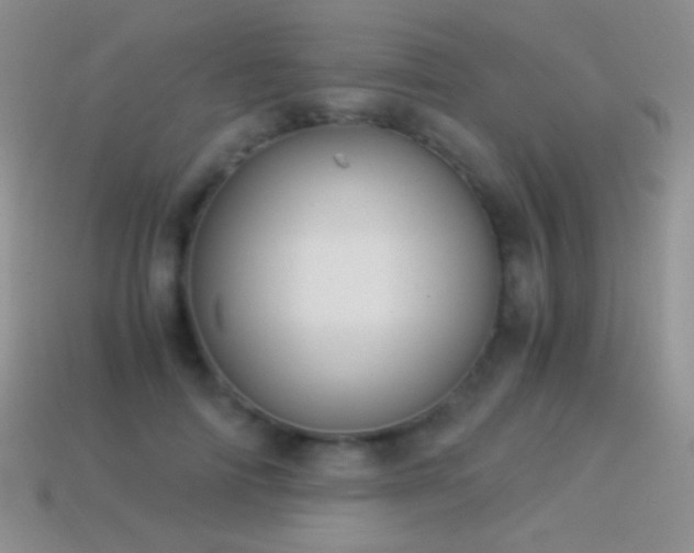 X0000114520698200910191155