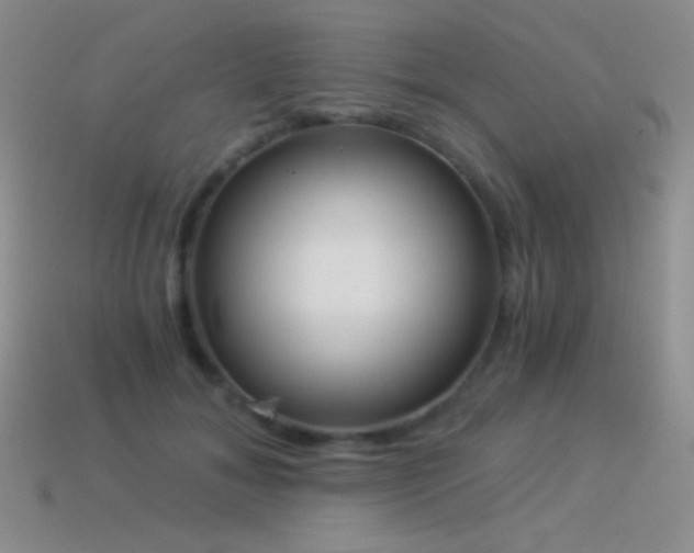 X0000114520700200910191155