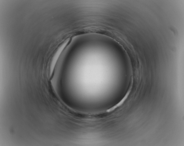 X0000114520701200910191155