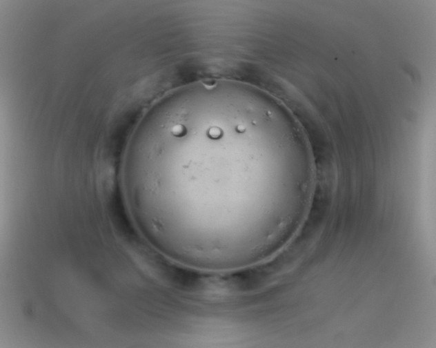 X0000114520703200910191155