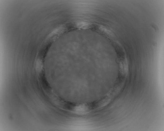 X0000114520705200910191155