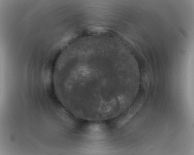 X0000114520708200910191155