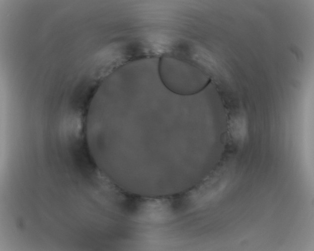 X0000114520709200910191155