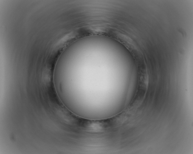 X0000114520710200910191155