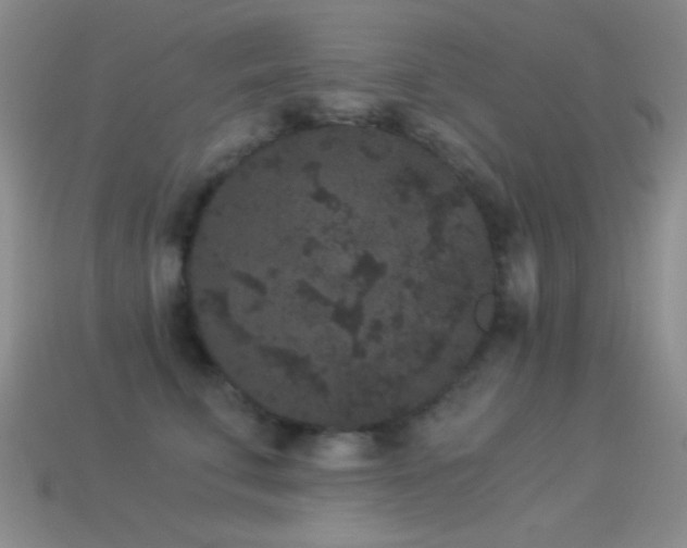 X0000114520711200910191155