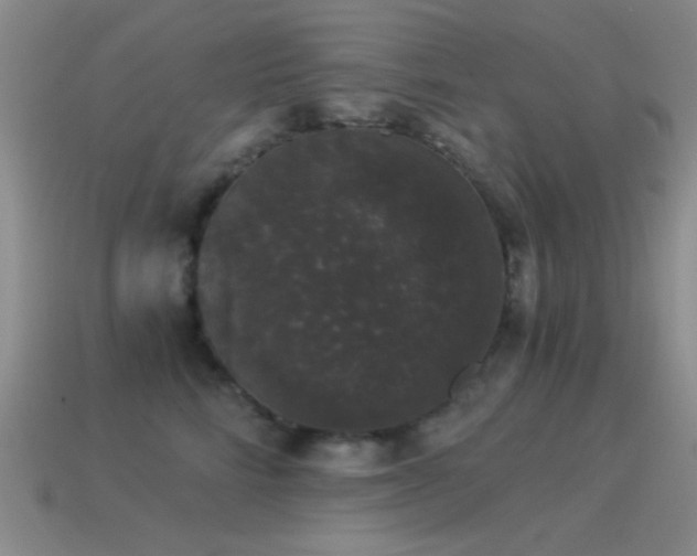 X0000114520712200910191155