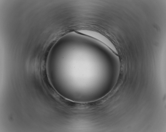 X0000114520713200910191155