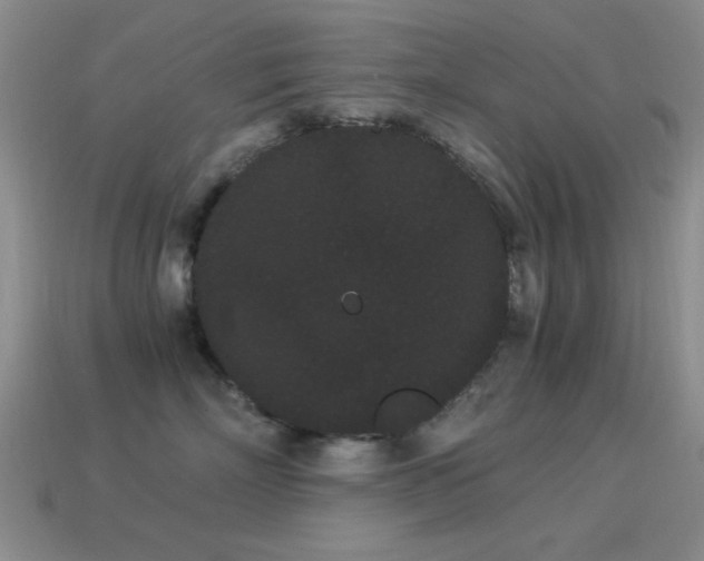 X0000114520718200910191155