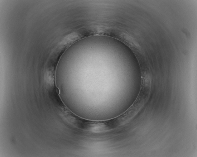 X0000114520719200910191155