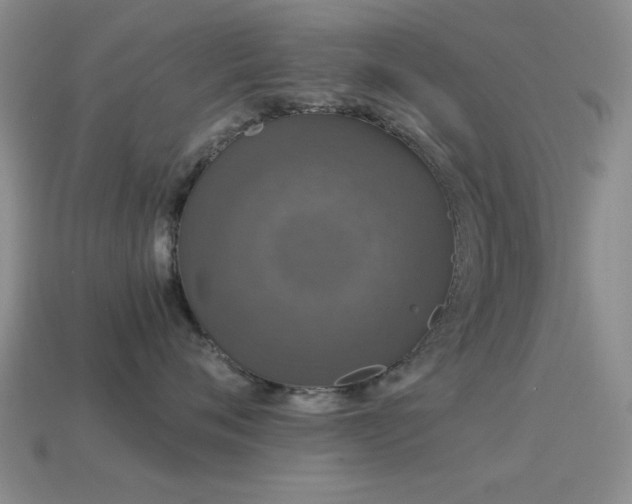 X0000114520720200910191155