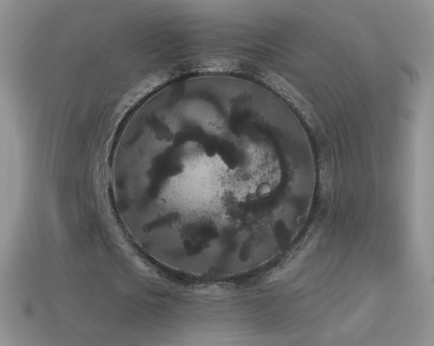 X0000114520721200910191154